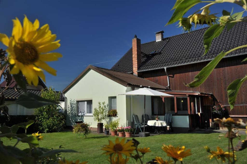 Ferienwohnung Nachtigall บวร์ก ภายนอก รูปภาพ